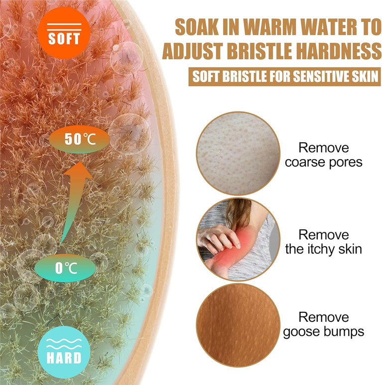 Luxurious 2 in 1 Natural Bristle Back Scrubber for Shower with Long Handle