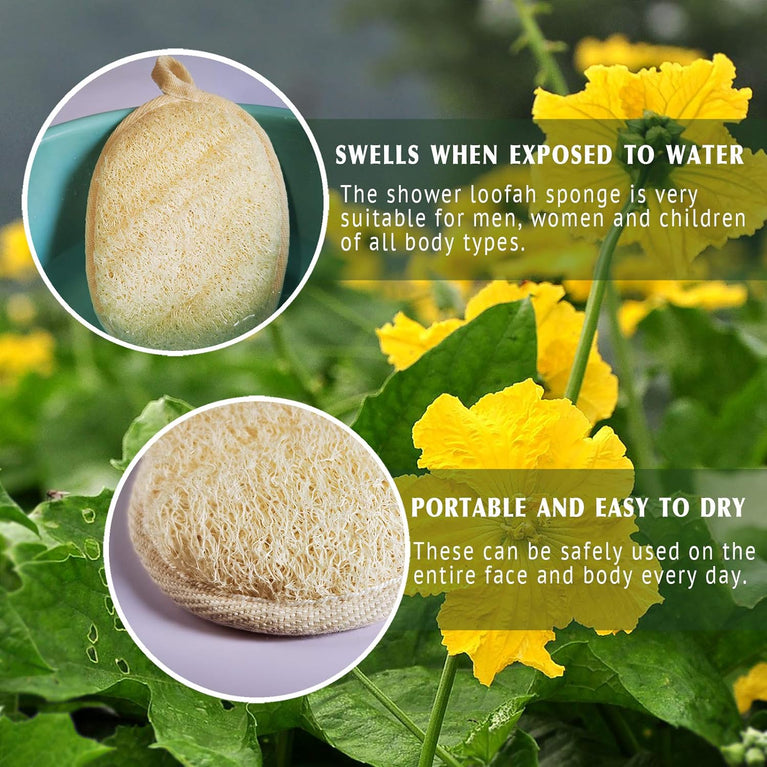 Eco-Friendly Natural Loofah Sponge Exfoliating Body Scrubber (3 Pack)